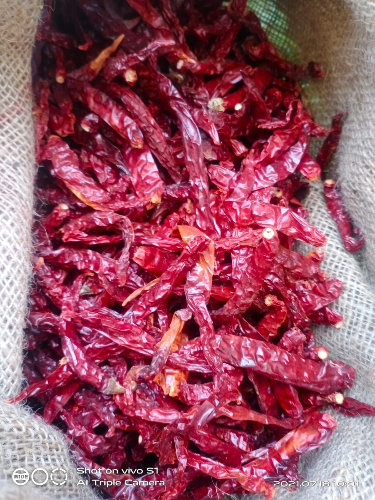 Red Dried Chilli